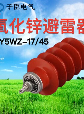 合肥10KV氧化锌避雷器HY5WZ-17/45电站型高压开关柜户外防雷器