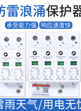 电浪涌保护器三相家用避防雷器 2P 3P 4P 20KA40KA60KA100KA 380V