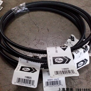 11M800 进口GATES盖茨广角带11M710 11M775 11M750 11M825 11M730