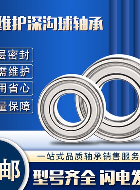 NSK进口静音高速免维护轴承6304 6305 6306 6307 6308 6309 6310Z