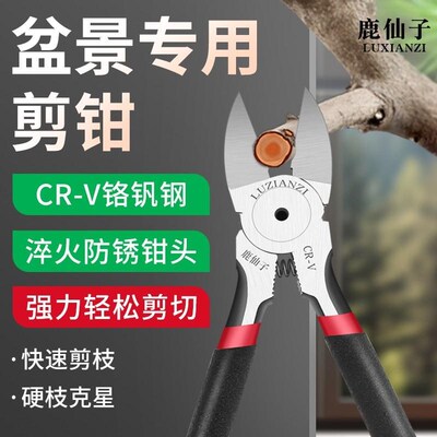 盆景专用工具园艺修枝剪刀5寸如意水口钳盆栽制作造型叶芽花艺剪