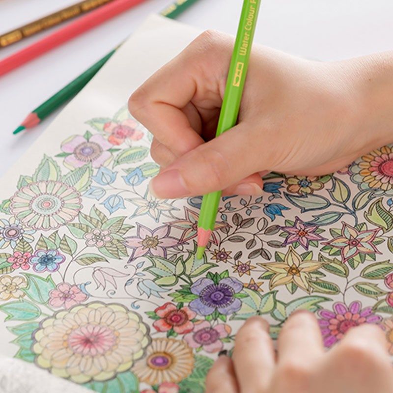 英雄水溶性彩色铅笔小学生用美术手绘画画涂色色色72色彩铅笔