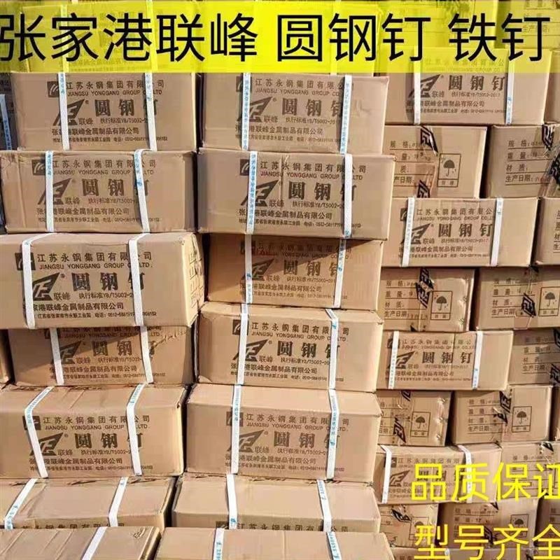 铁钉铁钉子木工小钉子圆钉小洋钉分 张家港峰