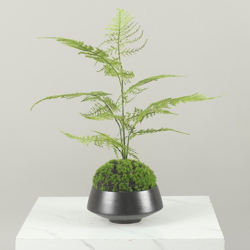 新仿真绿植盆景样板房客厅玄关文竹绿植装饰