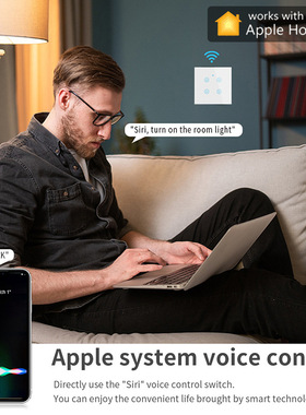 Homi按键单火零火智能关语音ii定时控制墙壁灯具关