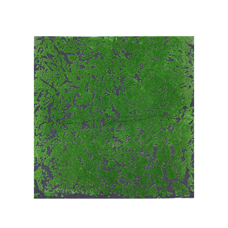 青苔 苔藓假植物墙底料仿真苔藓墙绿化装饰墙体艺术青苔仿真草坪