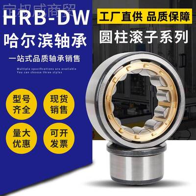 HRB-DW哈0尔滨轴承NJ2207 IYYNJ2208  NJ2209 NJ221 NJ2211NJ22 1