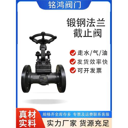 J41H-160C锻钢法兰截止阀