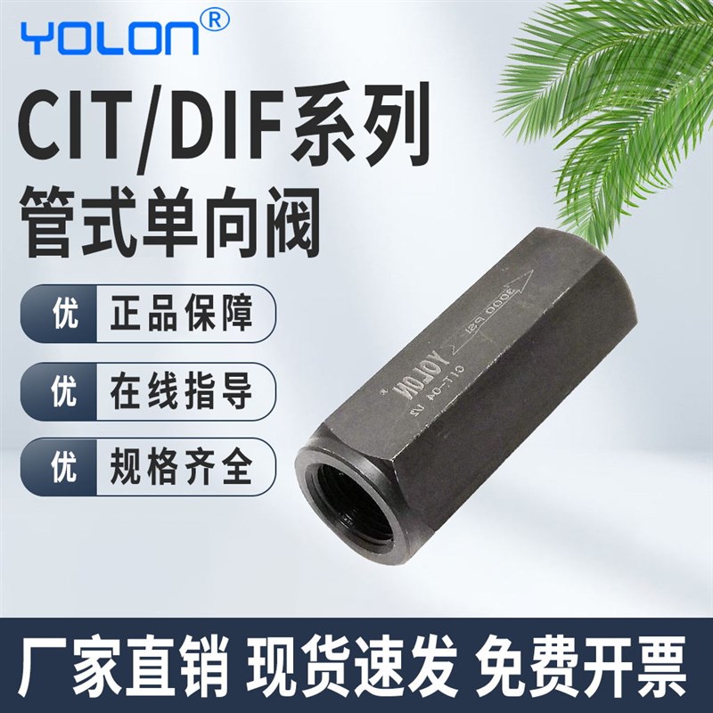 管式单向阀液压止回油压空气体高压CIT/DIF/AH10L02/03/04/06/08