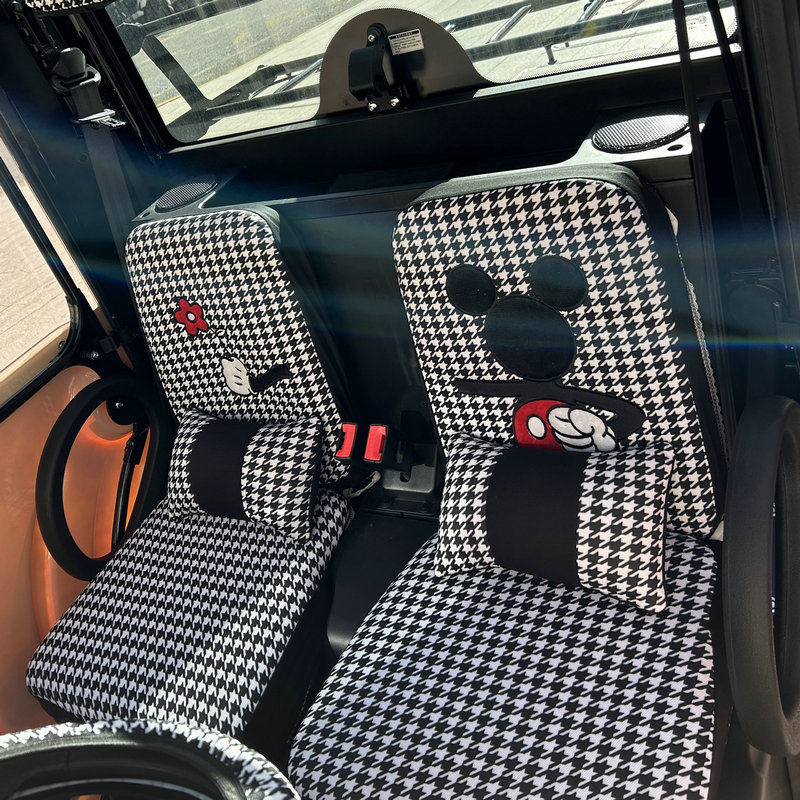 新能源两座 大阳电动车两v座永源电动汽车四轮车正副驾驶两座座套