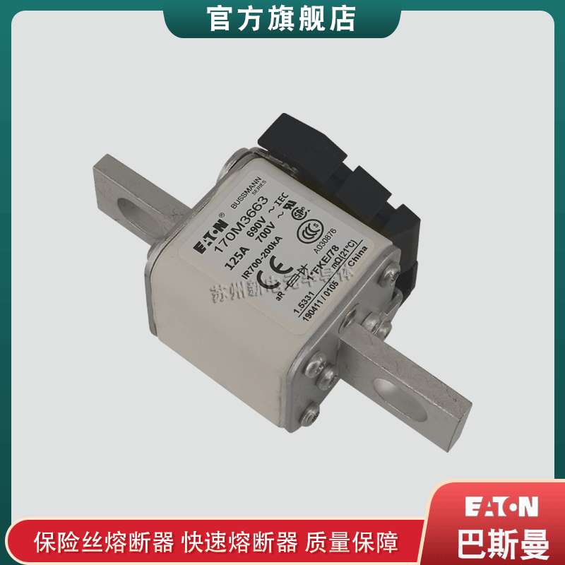 170M3663 3664 3665 3666 3667 3668巴斯曼bussmann熔断器保险丝