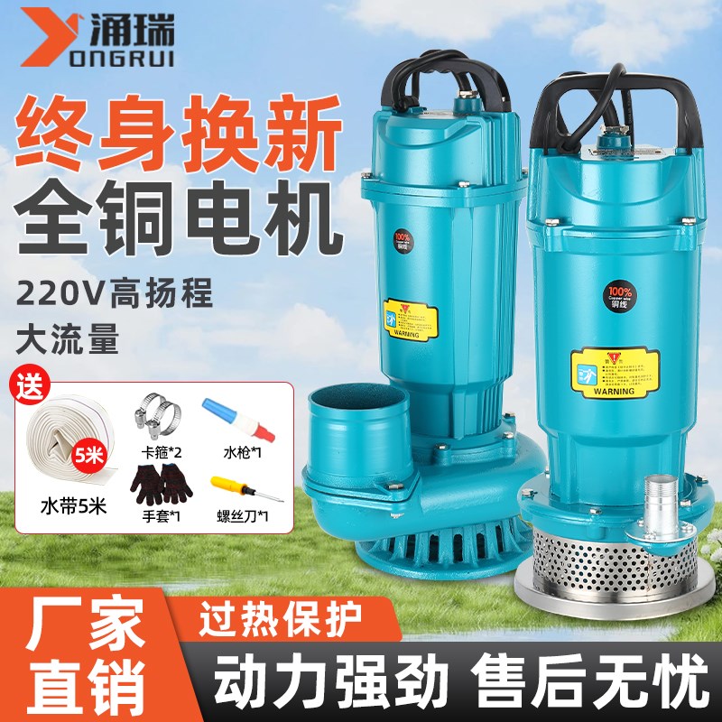 新款潜水泵高扬程大流量小型家用2B20V抽水泵清水农用灌溉井水浇 - 封面