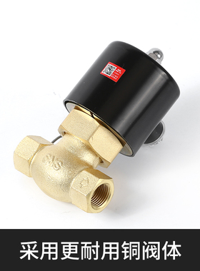 SNS神驰气动水阀全铜电磁阀2L170/200/250/350/400/500/AC220V