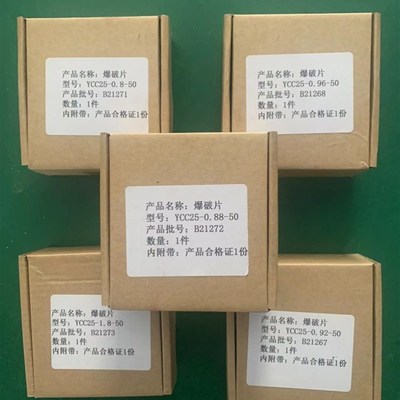 低温储罐设备爆破片YCC25 安全防爆装置品牌福建英侨上海华理通用