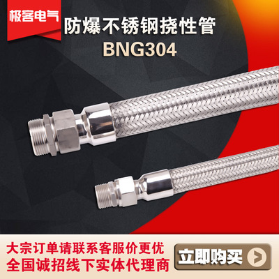 BNG304不锈钢防爆挠性管EXD防爆挠性连接管穿线金属软管15DN20 25