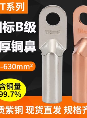 国标DT铜鼻子接线端线耳16/35/50/70/95/120/150/185/240/300平方