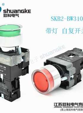 江苏双科电气 SKB2-BW310 点动平头带灯自复位一常开金属按钮开关