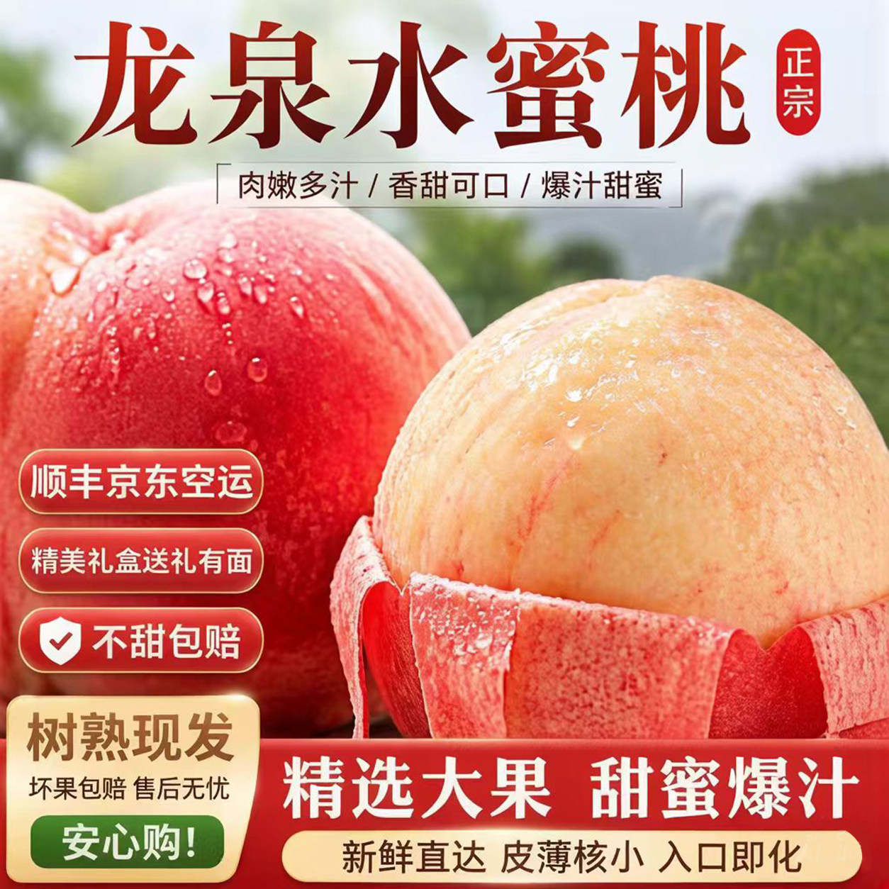 当季新鲜水果四川龙泉驿水蜜桃一级特大果礼盒装现摘现发空运包邮
