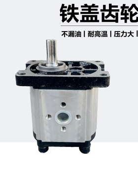 加强型液压油泵花h键齿轮泵动力机306/310/314/316/20/25压力25MP
