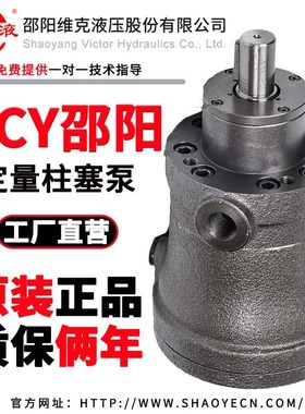 邵阳维克液压轴向柱塞泵SY-1.25/5/10/25/32/40/63/80MCY14-1EL/B