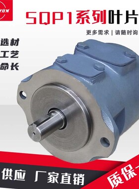 东京计器液压油泵SQP1/2/3/4叶片泵SQP32/42/定量油泵泵头TOKIMEC