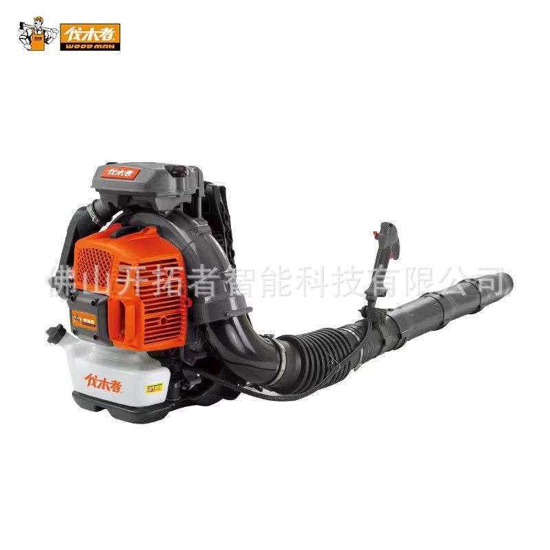 伐木者FM850 背负式吹风机 吹叶机二冲程大功率风力吹草机吹雪机