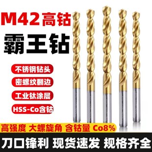 M42高钴钻霸王钻含钴直柄麻花钻头不锈钢钻头扩孔钻孔镀钛钻Co8%