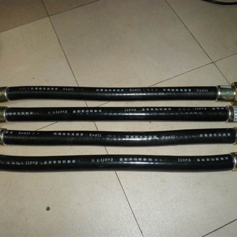 BNG防爆挠性连接软管 DN20*700防爆穿线软管(过线管)防爆管件