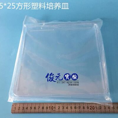 250*250mm方形细胞培养皿240*240mm细菌平皿平板独立高18mm1套/包