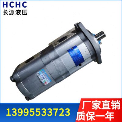 合肥长源齿轮油泵CBTL-F416/F410-AFP/AFPL, CBTL-F425/F416-AFP