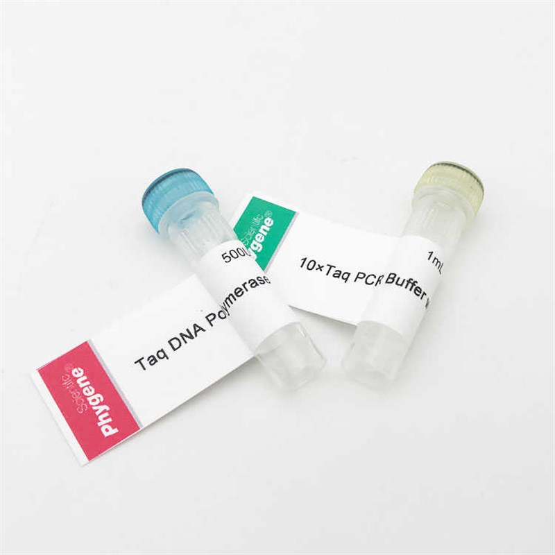PhyScript Taq DNA聚合酶 科研实验 1000U [PH0101 PHYGENE]