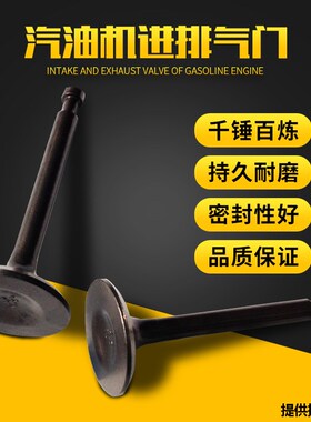 汽油发电机配件 2KW-3KW进排气门 气门杆 水泵GX160 168 170F气门