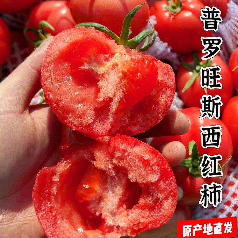 陕西普罗旺斯沙瓤西红柿酸甜多汁自然成熟沙瓤西红柿