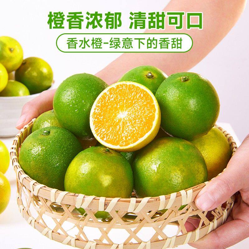 云南高山冰糖橙哀牢山新鲜水果绿皮橙冰糖橙手剥甜橙果冻皮薄橙子