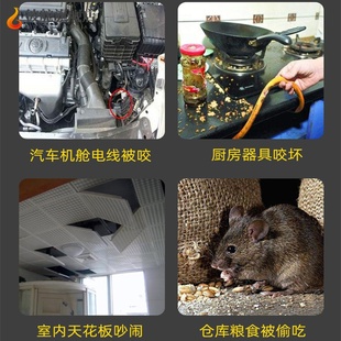 防鼠家用卧室无毒床上用天然防潮除跳蚤抽屉驱鼠臭球卫生球驱鼠丸