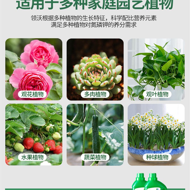 营养液植物通用型花肥发财树绿萝富贵竹水培盆栽家用花卉养花肥料