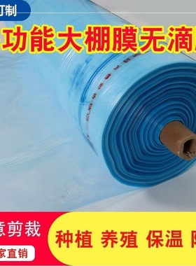 大棚膜蓝色无滴膜塑料r布透明加厚长寿塑料薄膜农用养殖蔬菜