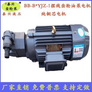 B16 B20YJZ B25YJZ B32Y 1上海东高1.1KW 1摆线齿轮油泵电机BB