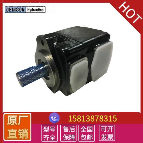 deniso丹尼逊n1叶片泵T7B-B5-1R0T7B-B15-0-A1 T7BRS-B12-100-A5