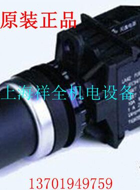 上海天逸电器(TAYEE)二位置齐平钥匙选择/旋转开关LA42Y2-11/B