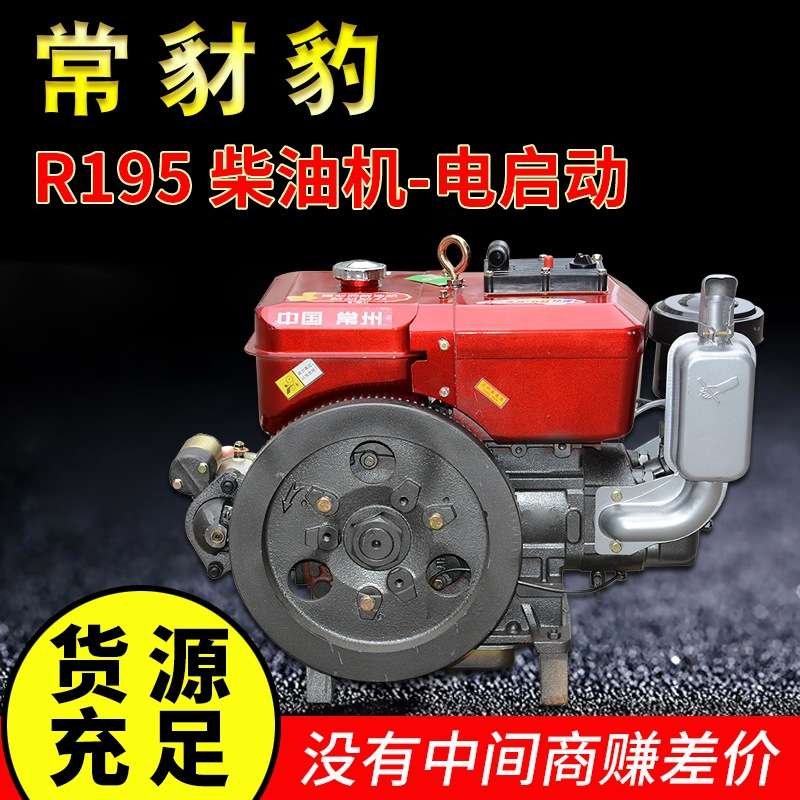 中国常州柴油机 船用农用单缸水冷R195小型发动机12马力电启动