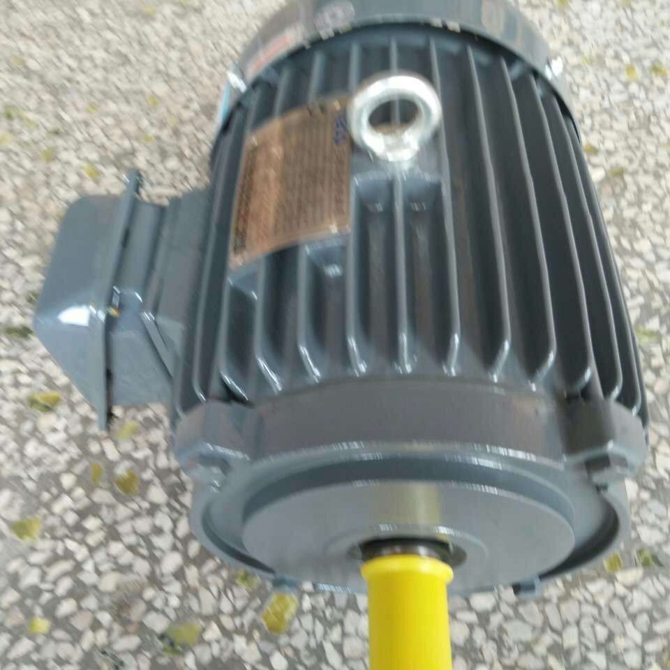 东元电机TEGH100L1-4 3HP 2.2KW 1455r/min 220V/380V AEEFF3