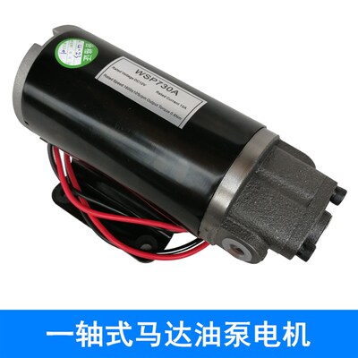 12V一轴式油泵电机 抽油泵 小型润滑油泵 三角摆线泵ROP-12A WSP