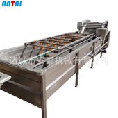 甄选全自动白菜气泡清洗机 荞麦涡流气泡清洗 蔬菜切片涡流清洗机