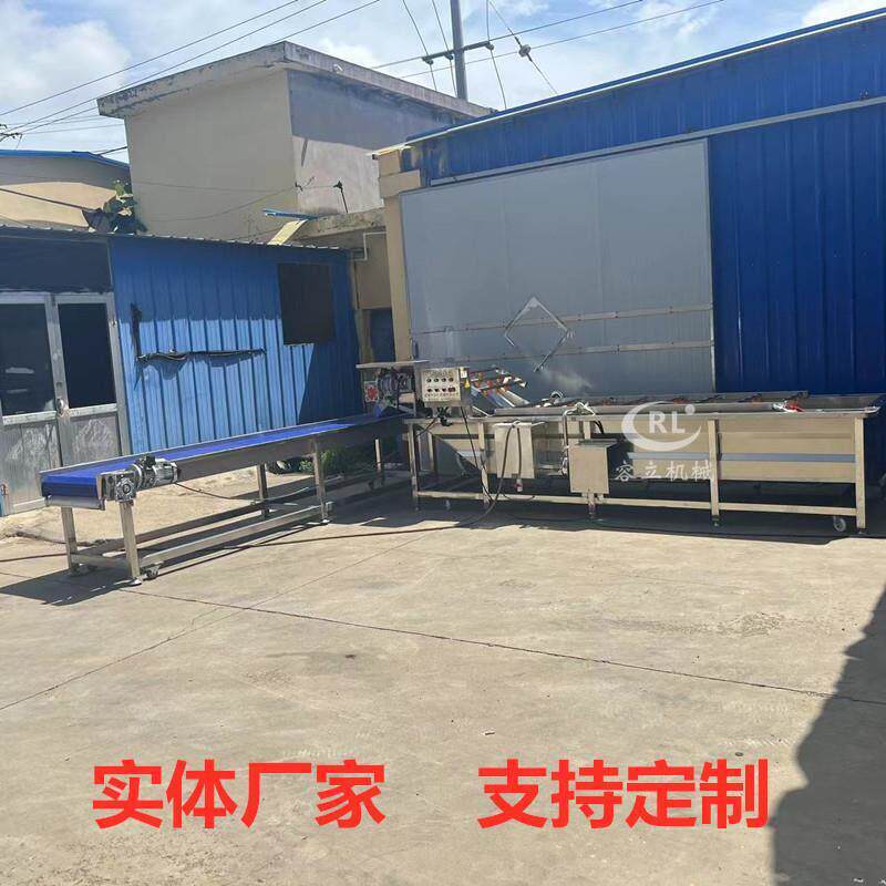 冲气泡冲清浪式豆角洗机喷淋式辣椒茄子洗设备花菜QQL秋黄葵漂烫