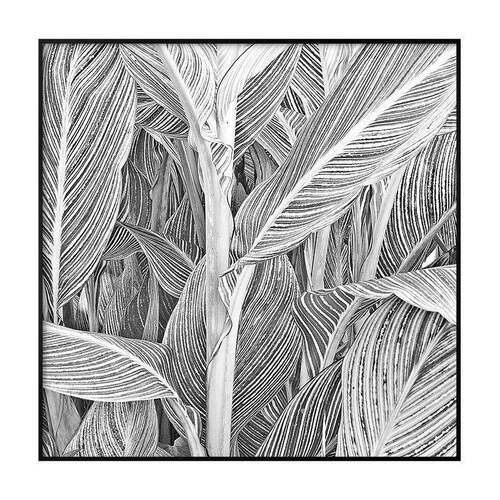 现抽代简约玄关装黑饰画白象线条物客餐A118厅挂植画欧式书房文艺
