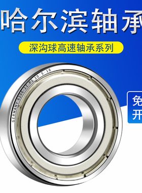 哈尔滨轴承6800 6801 6802 6803 6804 6805 6806 6807Z 2RS ZZ RS