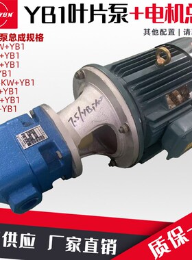 液压油泵电机组YB1+1.5KW2.2KW液压泵总成内轴电机液压站配件系统