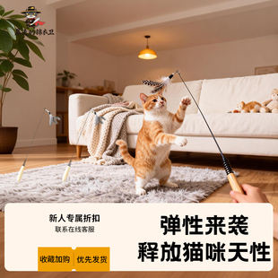 CFA赛级逗猫棒长杆猫玩具逗猫羽毛替换头幼猫小猫咪自嗨解闷神器