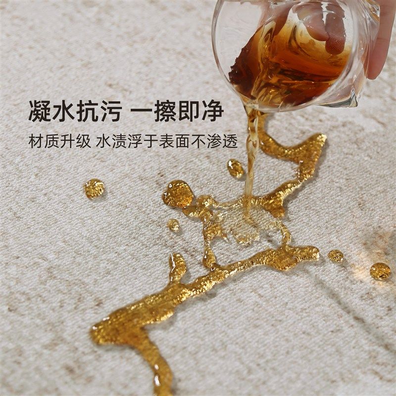 地毯客厅现代简约2024新款卧室床边毯免洗可擦房间沙发地垫冬天厚